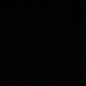 Meet your Posher, Isabelle